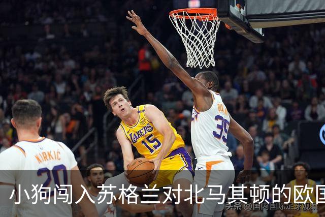 小狗闯入苏格兰对北马其顿的欧国联比赛，官方幽默调侃瞬间